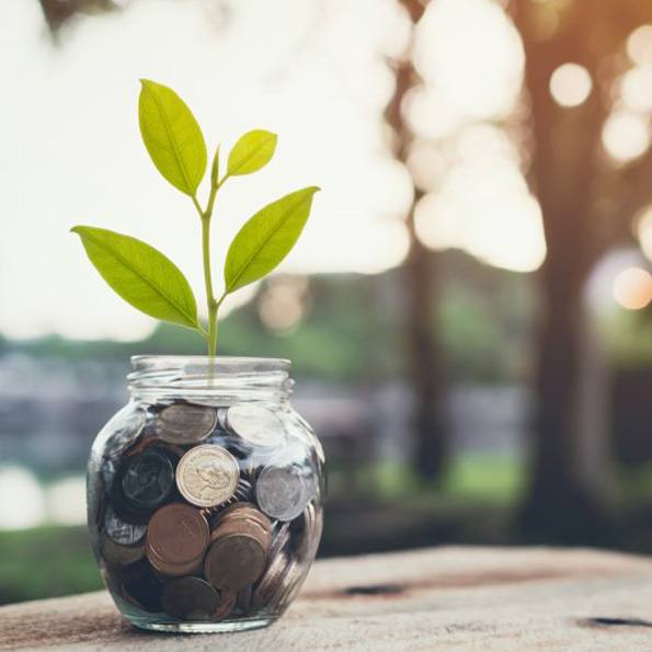 Jar of money with a plant growing out of it